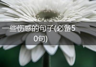 一些伤感的句子(必备50句)