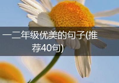 一二年级优美的句子(推荐40句)