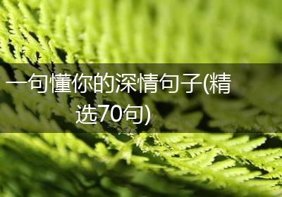 一句懂你的深情句子(精选70句)