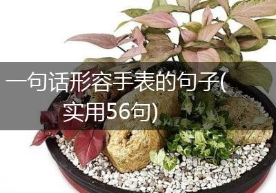 一句话形容手表的句子(实用56句)