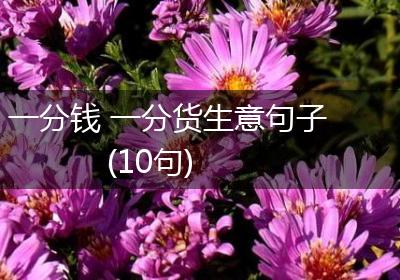 一分钱 一分货生意句子(10句)
