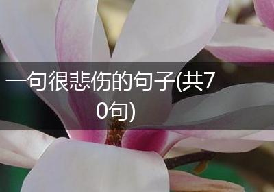 一句很悲伤的句子(共70句)