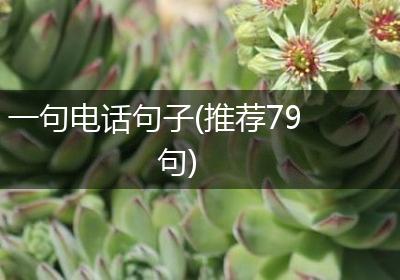 一句电话句子(推荐79句)