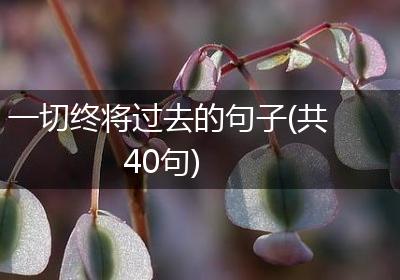 一切终将过去的句子(共40句)