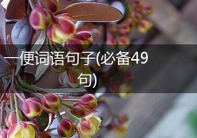 一便词语句子(必备49句)