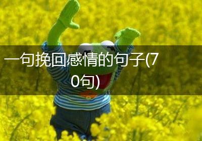 一句挽回感情的句子(70句)