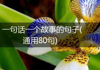 一句话一个故事的句子(通用80句)