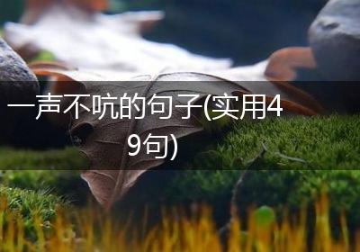 一声不吭的句子(实用49句)
