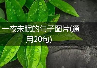 一夜未眠的句子图片(通用20句)