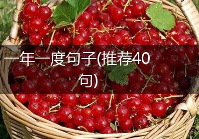 一年一度句子(推荐40句)