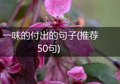 一味的付出的句子(推荐50句)