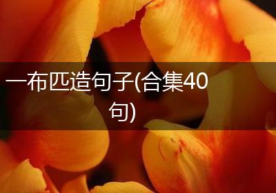 一布匹造句子(合集40句)