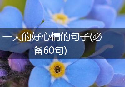 一天的好心情的句子(必备60句)