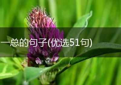 一总的句子(优选51句)