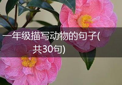 一年级描写动物的句子(共30句)
