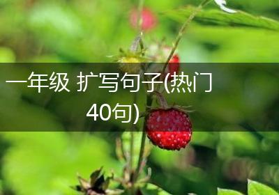 一年级 扩写句子(热门40句)
