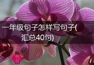 一年级句子怎样写句子(汇总40句)