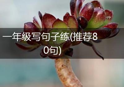 一年级写句子练(推荐80句)