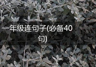 一年级连句子(必备40句)