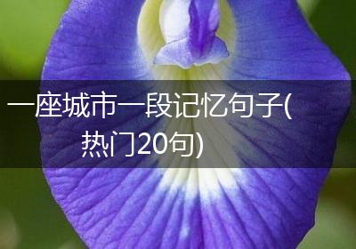 一座城市一段记忆句子(热门20句)