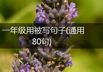 一年级用被写句子(通用80句)