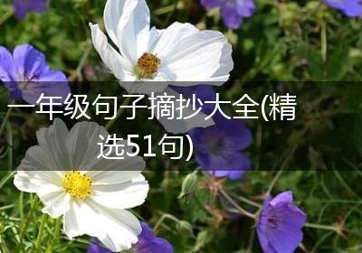 一年级句子摘抄大全(精选51句)
