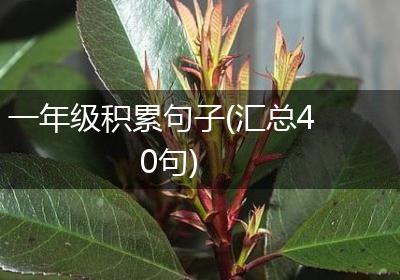 一年级积累句子(汇总40句)