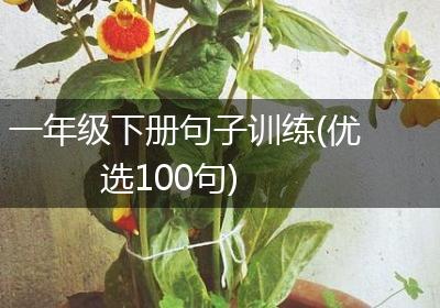 一年级下册句子训练(优选100句)