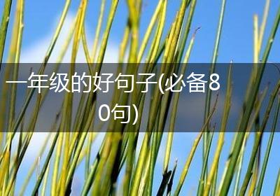 一年级的好句子(必备80句)