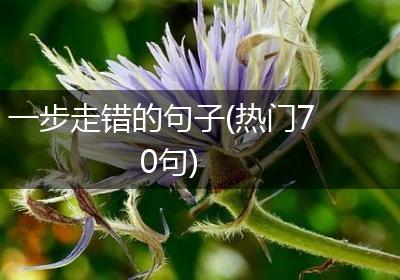 一步走错的句子(热门70句)