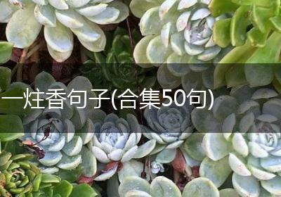 一炷香句子(合集50句)