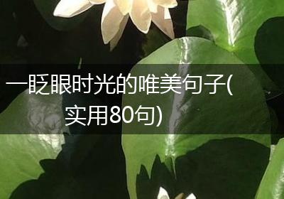 一眨眼时光的唯美句子(实用80句)