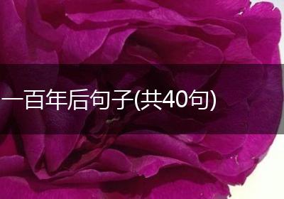 一百年后句子(共40句)
