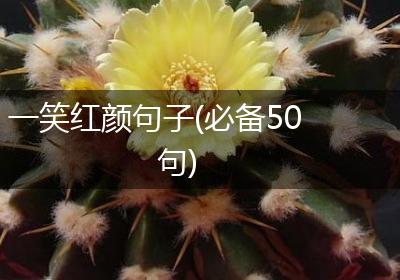 一笑红颜句子(必备50句)