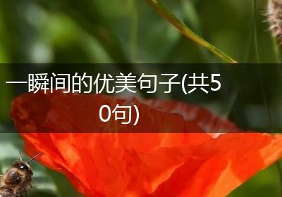 一瞬间的优美句子(共50句)