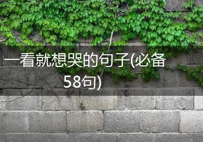 一看就想哭的句子(必备58句)