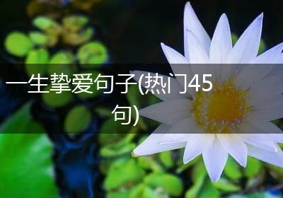 一生挚爱句子(热门45句)