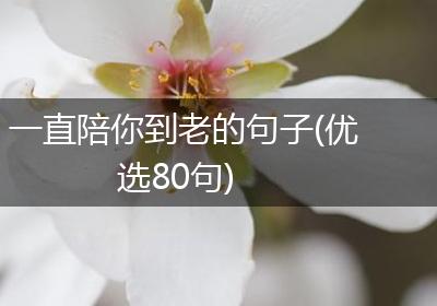 一直陪你到老的句子(优选80句)