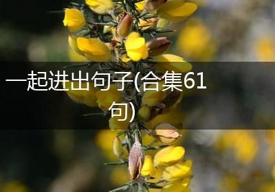 一起进出句子(合集61句)