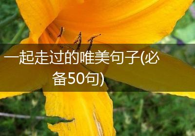 一起走过的唯美句子(必备50句)