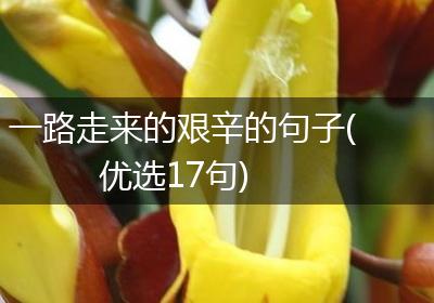 一路走来的艰辛的句子(优选17句)