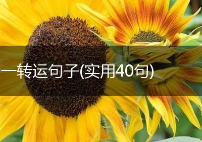 一转运句子(实用40句)