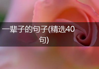 一辈子的句子(精选40句)
