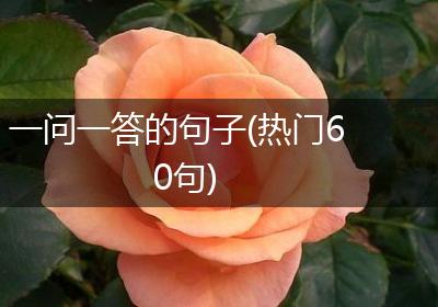 一问一答的句子(热门60句)