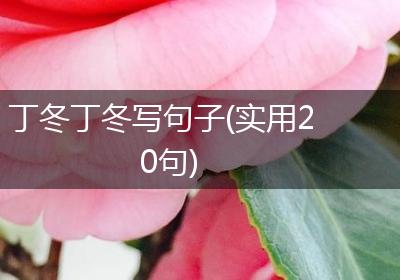 丁冬丁冬写句子(实用20句)