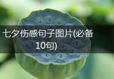 七夕伤感句子图片(必备10句)