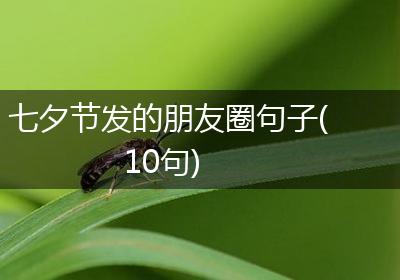 七夕节发的朋友圈句子(10句)