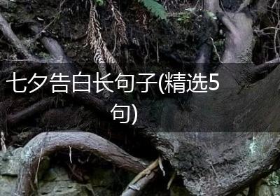 七夕告白长句子(精选5句)