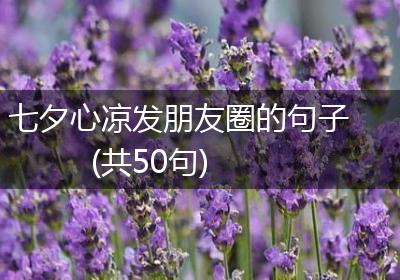 七夕心凉发朋友圈的句子(共50句)