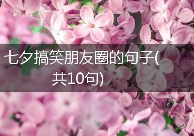 七夕搞笑朋友圈的句子(共10句)
